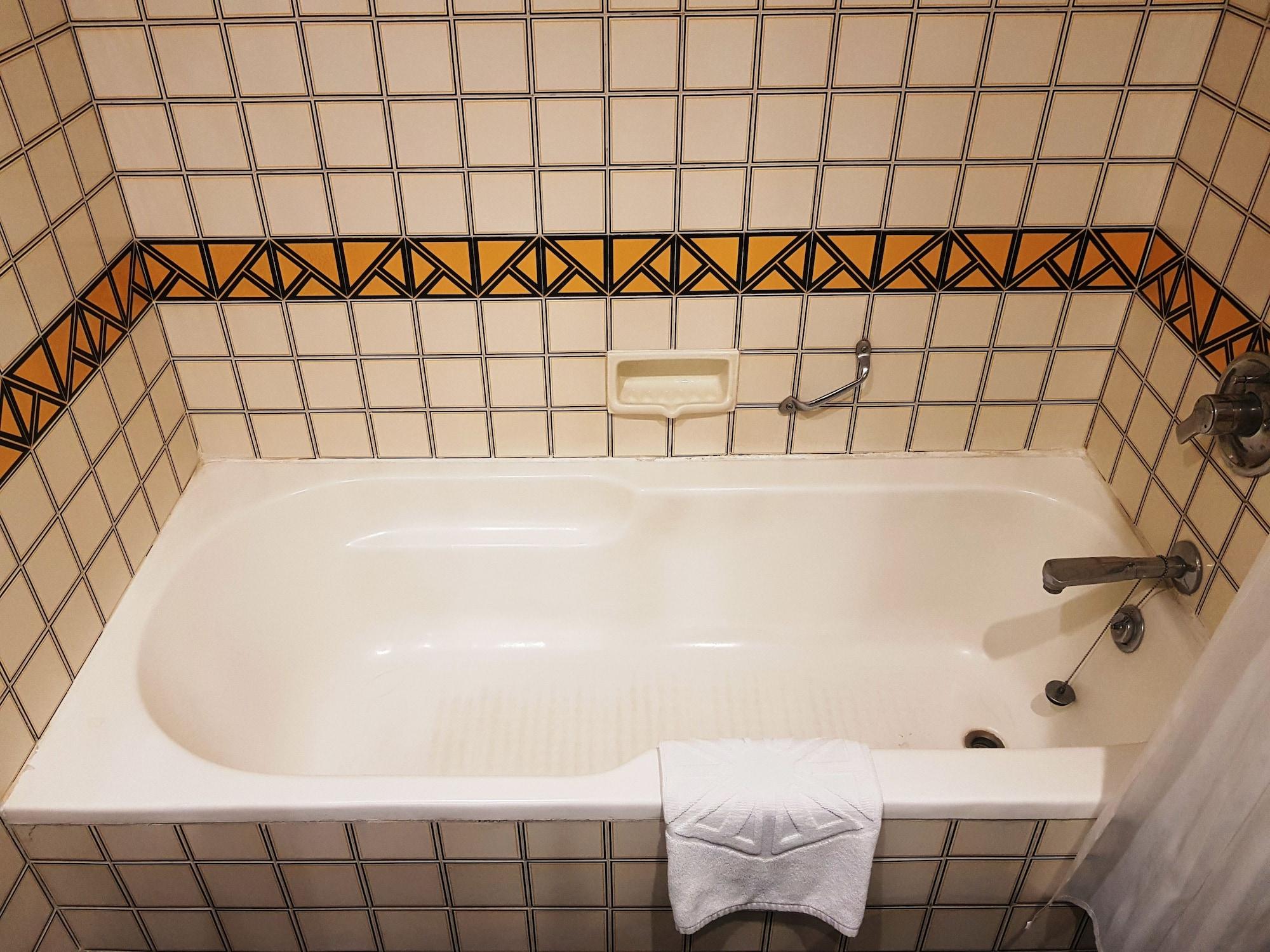 فندق تاج بَنجَرا حيدر أباد المظهر الخارجي الصورة A bathtub